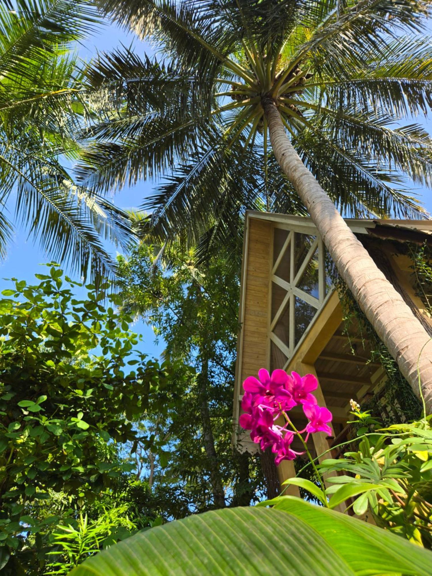 Surf N Sun- Arugambay Hotel 4*