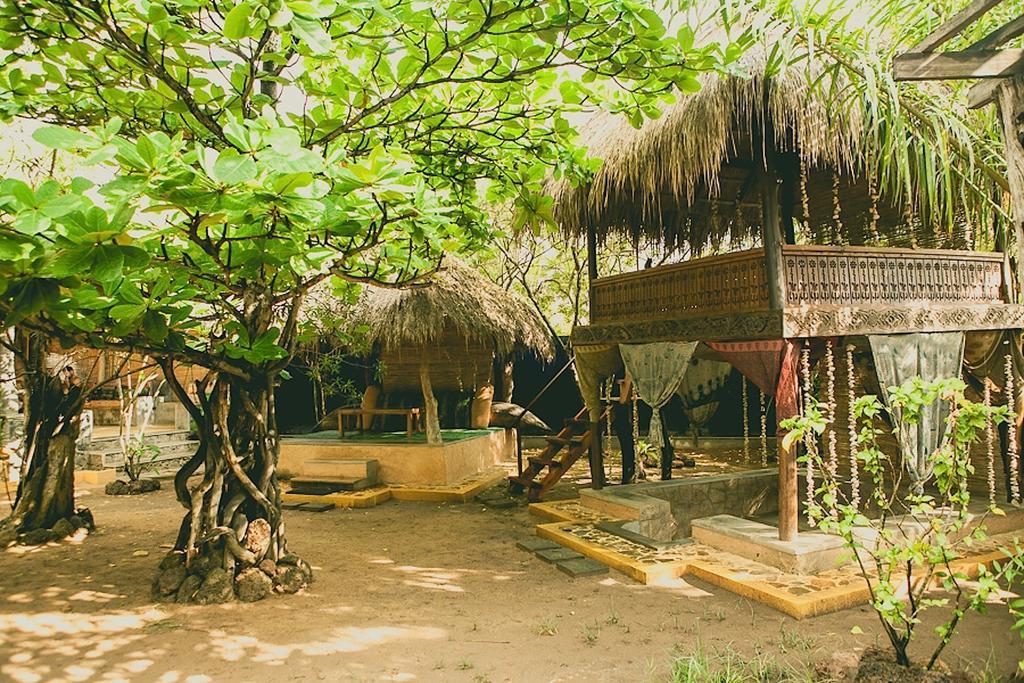 Hotel Surf N Sun- Arugambay Arugam Bay
