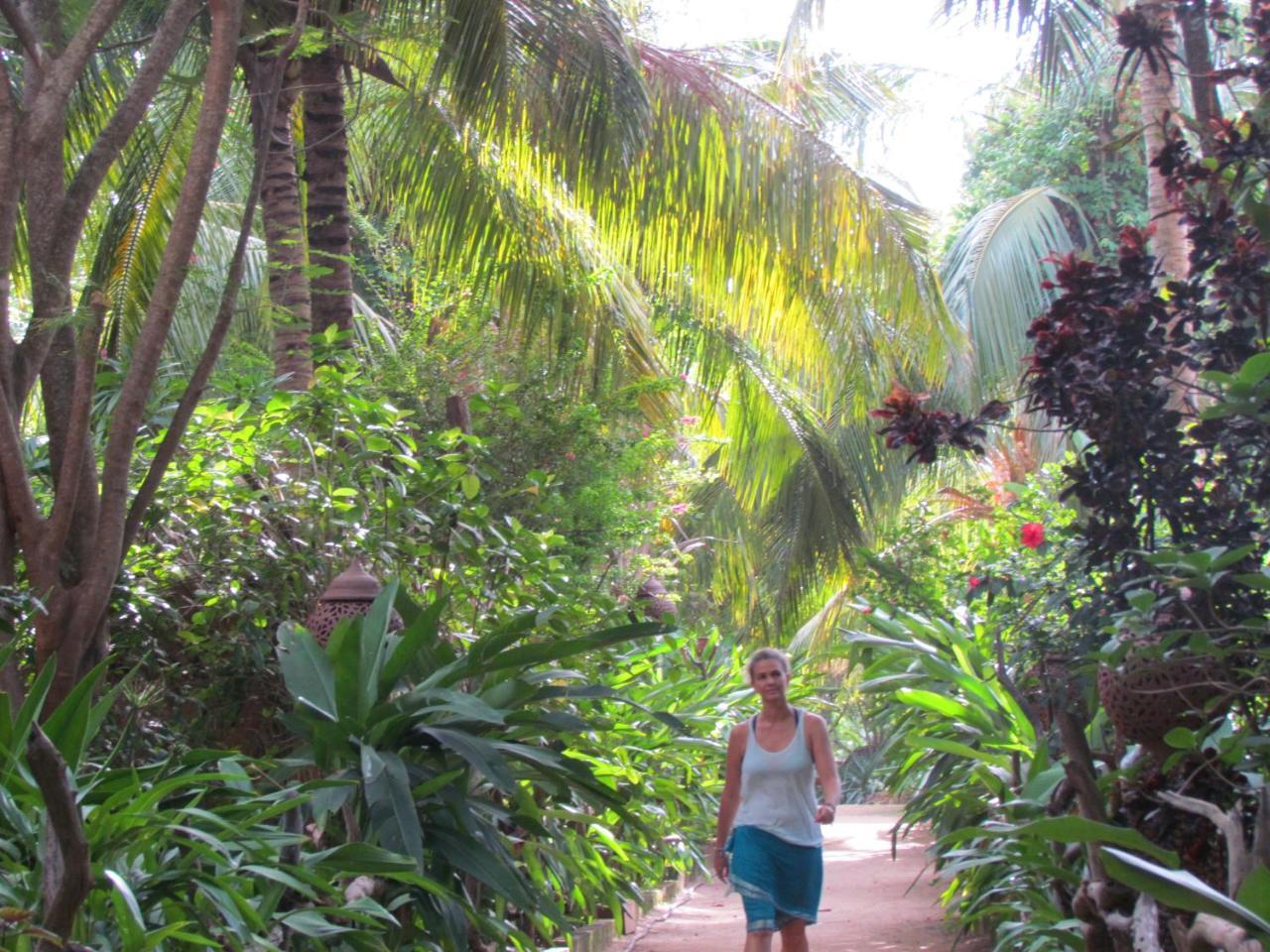 Hotel Surf N Sun- Arugambay 4*